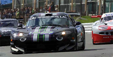 Hayles-Viper